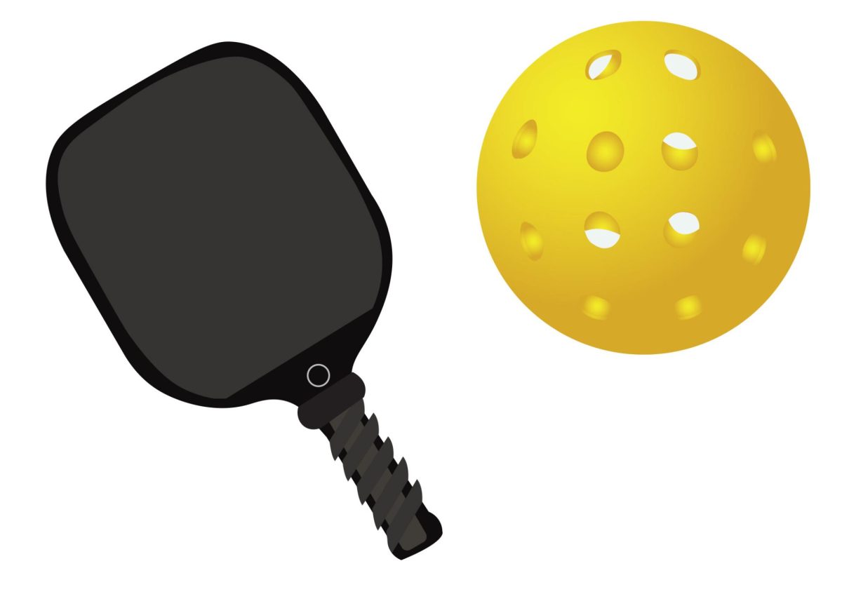 NEWS: The Rise of Pickle Ball